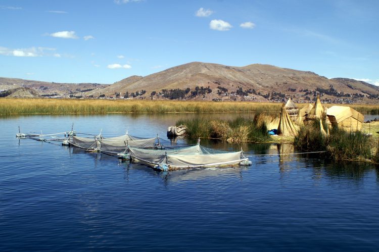 Lac Titicaca côté péruvien
