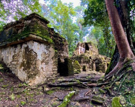 Ruines de Yaxchilan au Mexique (Chiapas)