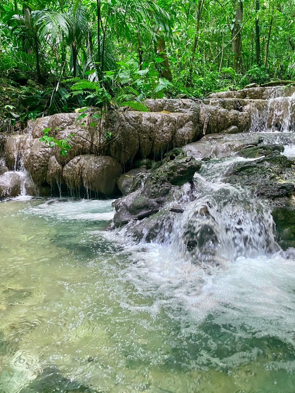 Sentero Motiepa Jungle Palenque
